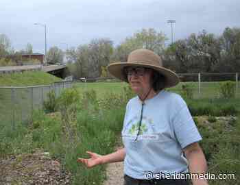 Sheridan Food Forest: A place to Forage – Sheridan Media - Sheridan Media