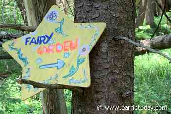 Forest fairies have flown away (4 photos) - BarrieToday