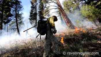 Bitterroot Forest burns over 2,200 acres in prescribed fires - Ravalli Republic