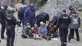 30 arrested at B.C. protest over old-growth forest logging - CBC.ca