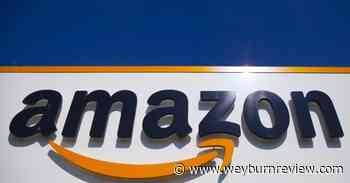 DC files antitrust case vs Amazon over treatment of vendors - Weyburn Review