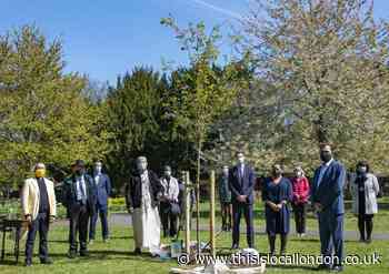 Tree planted in Lewisham as memorial for Covid-19 victims