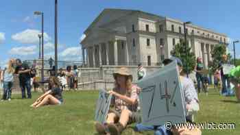 Rally held in support of medical marijuana outside the Mississippi Supreme Court - WLBT