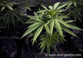Medical marijuana law changes pass Pennsylvania House panel - Pittsburgh Post-Gazette