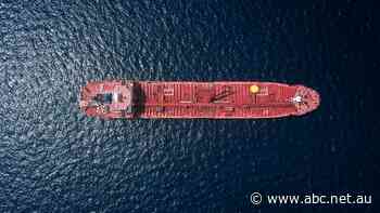 Darwin Port boss rejects national security concerns, condemns 'carping' critics