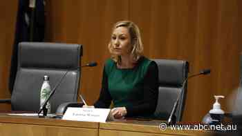 Greens raise Future Fund concerns, alleging links to childlike sex dolls, Myanmar military