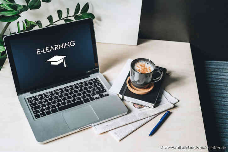 eLearnings – eine weitere Möglichkeit der Weiterbildung für Interne Revisoren