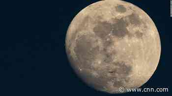 A Pink Moon is coming -- but what is that?