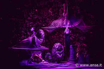 'Earthbound' di Marta Cuscunà in prima a Modena - ANSA Nuova Europa