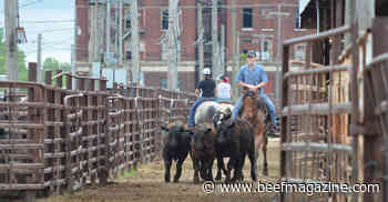 Goodbye to historic St. Joseph Stockyards