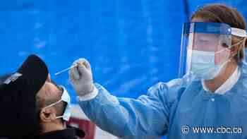 Auditor general grading Ottawa's performance on PPE, pandemic response in Indigenous communities