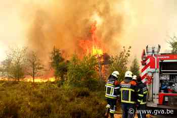 10 jaar geleden brandde de Kalmthoutse Heide als een fakkel: “Nog nooit zoiets meegemaakt” - Gazet van Antwerpen