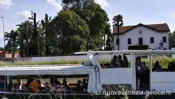 Via alle crociere lungo il Brenta tra erba alta e incuria sulle rive - La Nuova Venezia