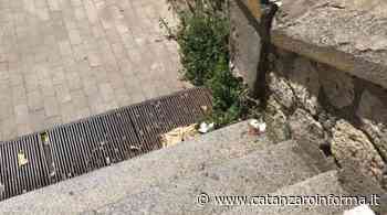 Via Masciari: erba alta e strade dissestate. La denuncia di Costanzo, l’ennesima - CatanzaroInforma