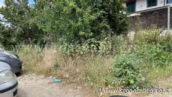 «Erba alta e polvere: noi di Monterusciello non siamo cittadini di serie B» - Cronaca Flegrea