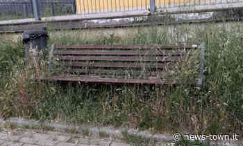 L'Aquila, residenti di Coppito 3 denunciano mancato sfalcio dell'erba - News Town