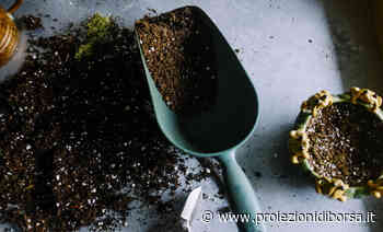 Basterà raccogliere questa erba per realizzare un fertilizzante fatto in casa efficace e a costo zero e a ... - Proiezioni di Borsa