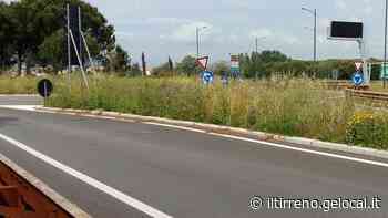 Erba alta e poca visibilità alla rotatoria - Il Tirreno