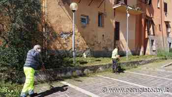 INVIATO CITTADINO Si taglia l'erba in tutti i parcheggi urbani della Sipa - PerugiaToday