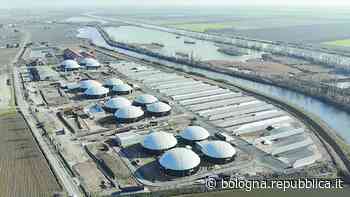 Apros/Sopred, la filiera dell’erba medica è pronta per il “cambiamento” - La Repubblica