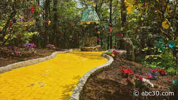 Behind-the-Scenes of The Wizard of Oz's Land of Oz