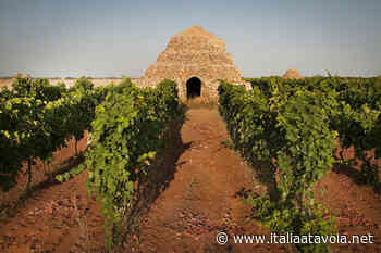 Degustazioni, arte e natura: viaggio nel Primitivo di Manduria - Italia a Tavola