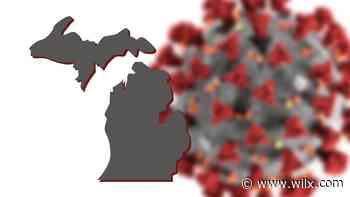 Daily Coronavirus Report: Michigan reports 739 cases, 66 deaths - WILX-TV