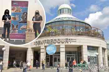 Centre Court Shopping Centre offer space to RSPCA