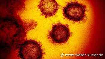 Club of Lilienthal spricht über die Pandemie - WESER-KURIER - WESER-KURIER