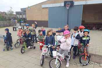 Leerlingen BS De Driehoek leren alles over gezond leven - Het Belang van Limburg