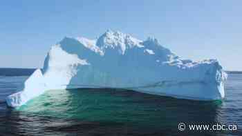 Still waiting for N.L.'s famous iceberg season? Don't hold your breath, scientists say