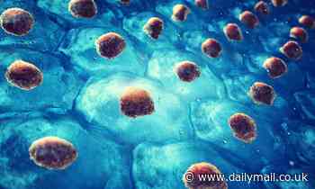 Stem cell research: Scientists DROP the 14-day embryo rule in huge guideline update