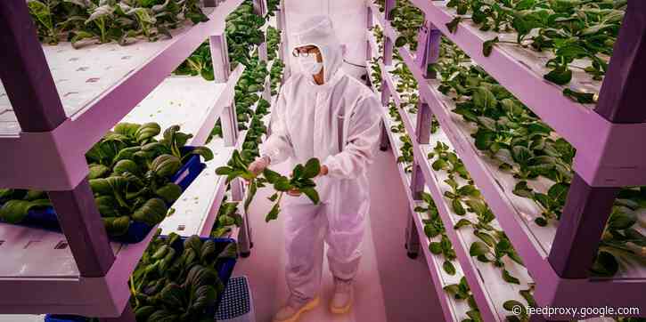 An indoor farming startup is valued at $2.3 billion after a historic fundraising round as climate change concerns become more urgent