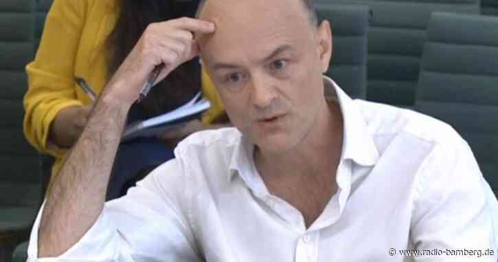 Ex-Berater ledert über Johnsons Corona-Politik ab