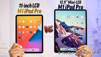 2021 M1 iPad Pro 11 vs iPad Pro 12.9 (Video)