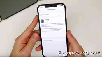 Here is another look at iOS 14.6 (Video)