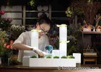 LeGrow modular indoor garden