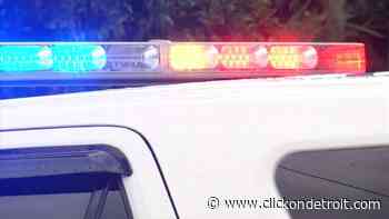 Clinton Township to explore social work assistance in policing - WDIV ClickOnDetroit