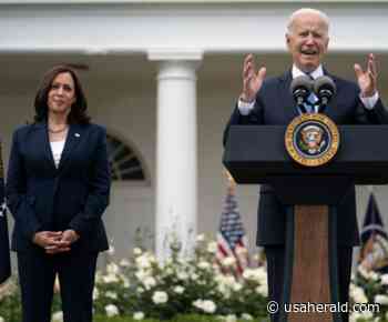 Leading Political Strategist: Biden White House "Out of Momentum" – USA Herald - USA Herald