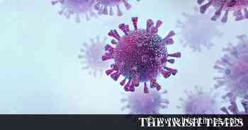 Coronavirus: 448 new cases reported in the State - The Irish Times