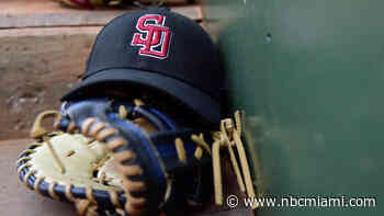 MSD Wins Baseball Championship, Boosting Parkland's Spirits