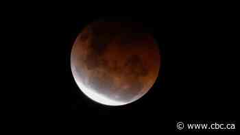 Canada announces plans to land a rover on the moon