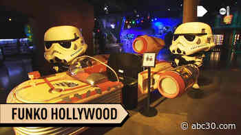 Larger-than-life Funko Hollywood is worth the wait for die hard fans