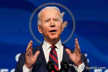 Two-thirds of Republicans think Biden's victory was not legitimate: poll