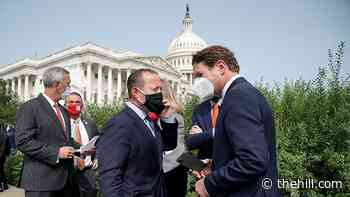 Jewish House Democrats call for Biden to address antisemitism