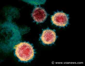 Body's Second Line of Defense May Protect Against Coronavirus Variants - Voice of America