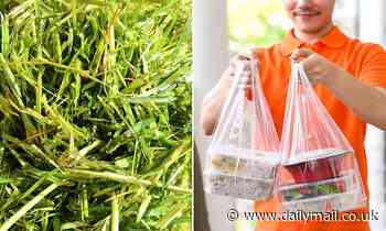Scientists have figured out a way to use grass to replace plastic in food packaging 