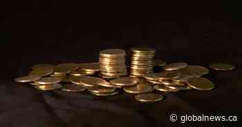 Loonie increases over past year having a positive effect on Saskatoon businesses