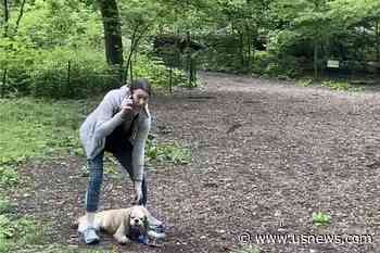 Woman in Racist Central Park Confrontation Sues Over Firing