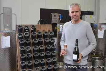 Tim (48) plant biologische wijngaard aan: Meetjesland is wij... (Evergem) - Het Nieuwsblad